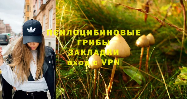 spice Абаза