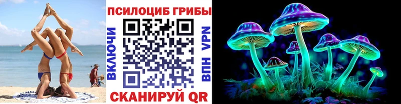 Галлюциногенные грибы Psilocybe  где продают наркотики  Шилка 